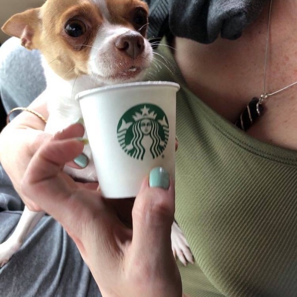 Meet your Posher, Laura - Picture 10 of 13